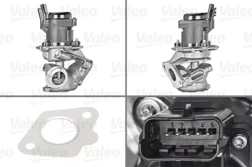 EGR Valve