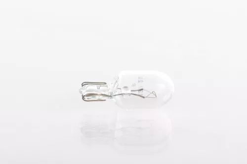 BOSCH Bulb (1 987 302 223)