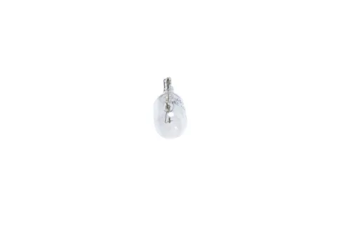 BOSCH Bulb (1 987 302 223)