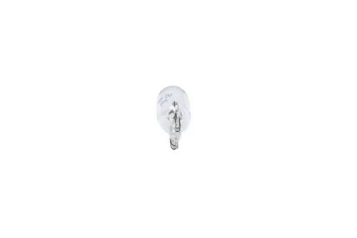 BOSCH Bulb (1 987 302 223)