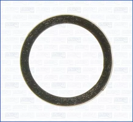Seal Ring, exhaust pipe
