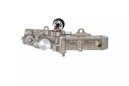 NRF EGR Valve (48208)