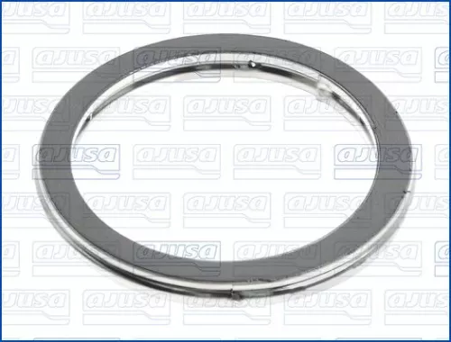 Seal Ring, exhaust pipe