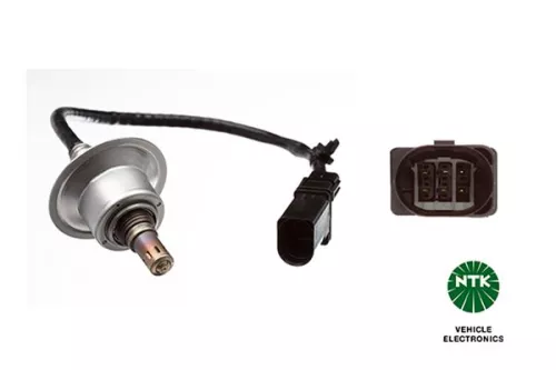 Oxygen Sensor