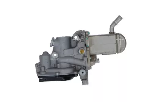 NRF EGR Valve (48207)