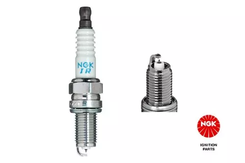 NGK Spark Plug (7795)