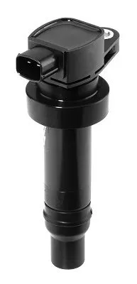 BorgWarner (BERU) Ignition Coil (ZS475)