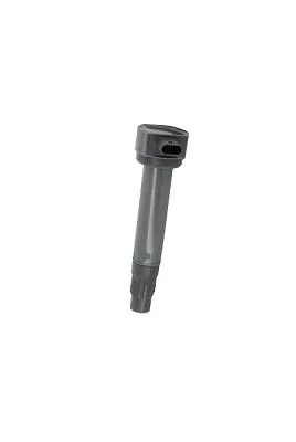 BorgWarner (BERU) Ignition Coil (ZS562)