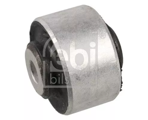 Mounting, control/trailing arm