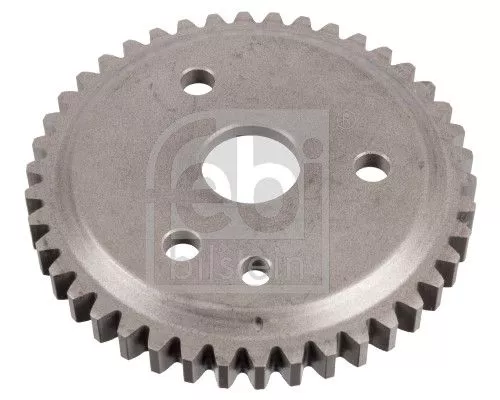Gear/Sprocket, camshaft