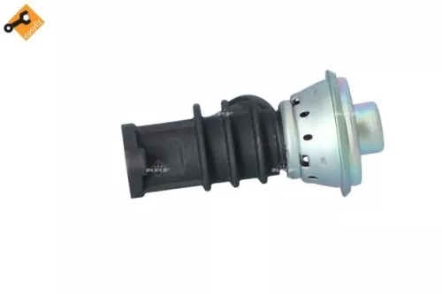 NRF EGR Valve (48387)
