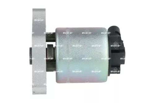 NRF EGR Valve (48394)