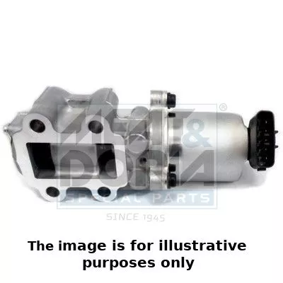 EGR Valve