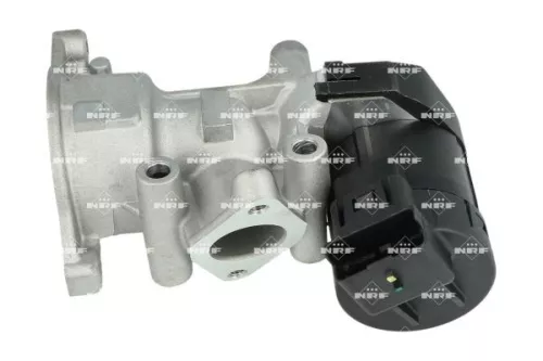 NRF EGR Valve (48398)