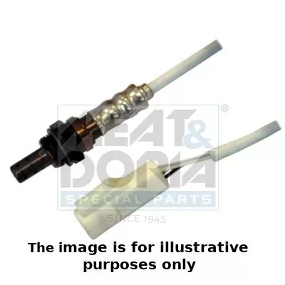 Oxygen Sensor