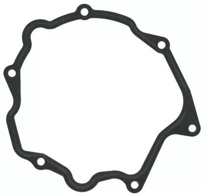 Gasket, vacuum pump