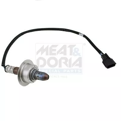Oxygen Sensor