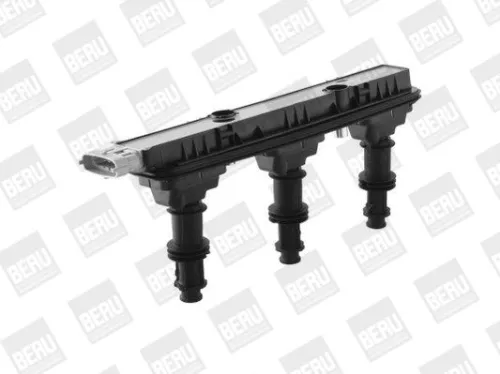 BorgWarner (BERU) Ignition Coil (ZSE153)