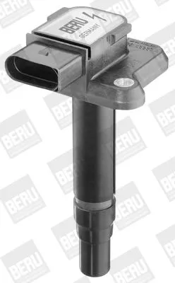 BorgWarner (BERU) Ignition Coil (ZSE009)