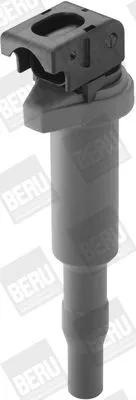 BorgWarner (BERU) Ignition Coil (ZSE144)