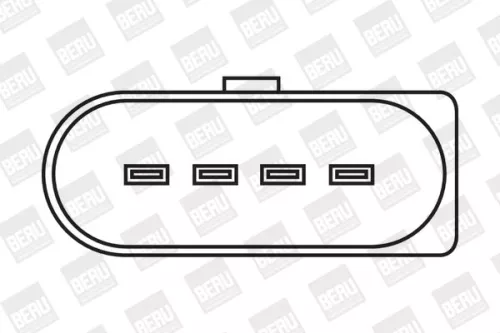 BorgWarner (BERU) Ignition Coil (ZSE032)