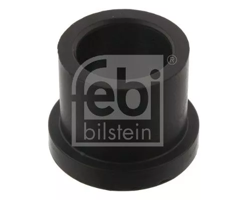 Bushing, leaf spring