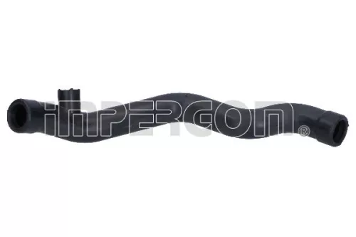 Hose, cylinder head cover ventilation