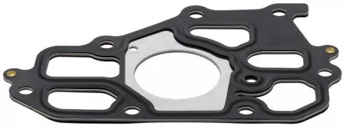 Gasket, coolant flange