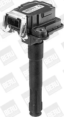 BorgWarner (BERU) Ignition Coil (ZS016)