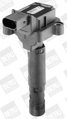 BorgWarner (BERU) Ignition Coil (ZS053)