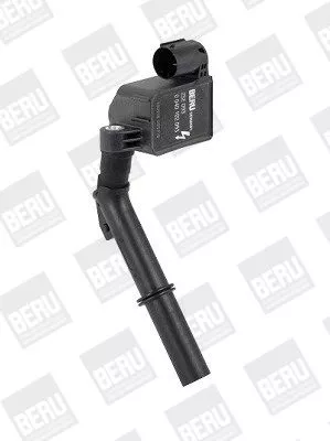 BorgWarner (BERU) Ignition Coil (ZSE093)