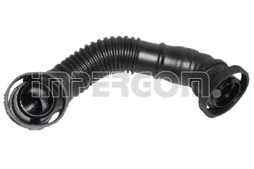 Hose, cylinder head cover ventilation
