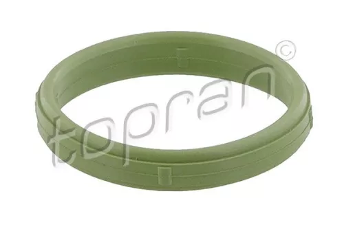 Gasket, intake manifold