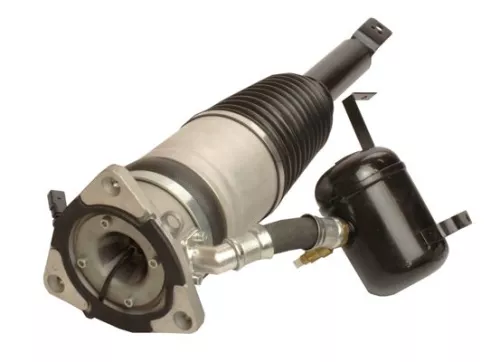 MAXGEAR Air Suspension Strut (11-0780)